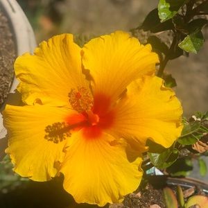 Meet your Posher, Cathy